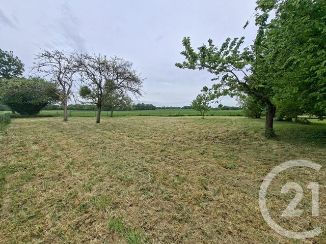 maison à louer - 3 pièces - 81.42 m2 - ARGENTRE DU PLESSIS - 35 - BRETAGNE - Century 21 A.I.T